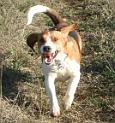 080126 cappo.olga